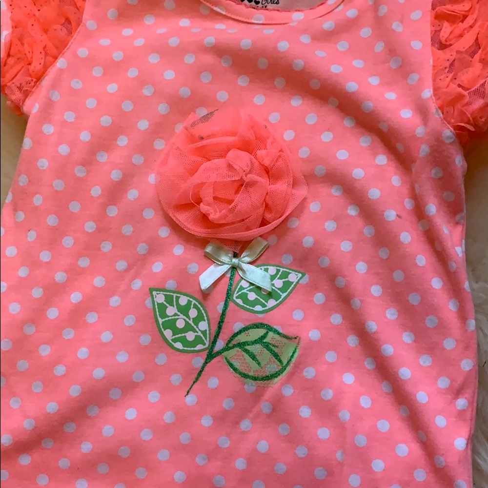 Peach Roses - Picture 3 of 3